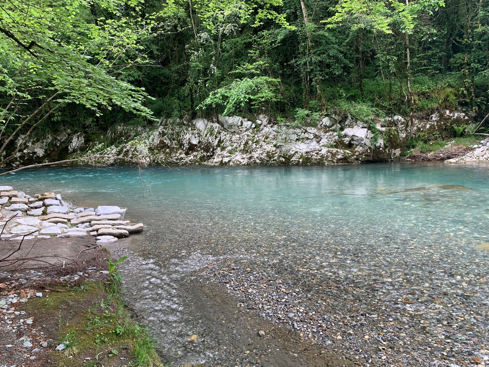 Balade botanique et repas "Les Plantes Sauvages Comestibles"