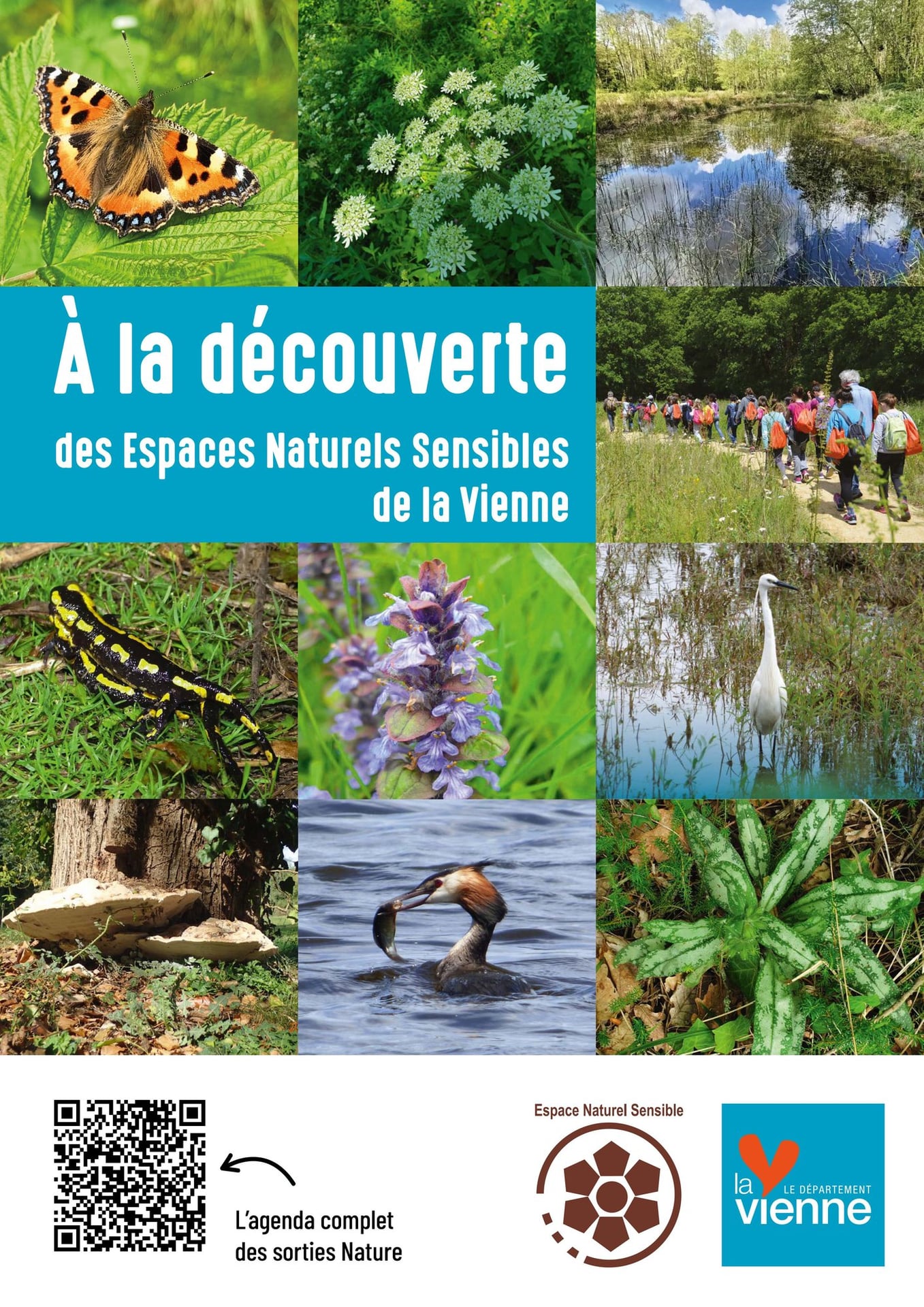 A la découverte des Espaces Naturels Sensibles de la Vienne - Le petit peuple de la forêt de Scévolles