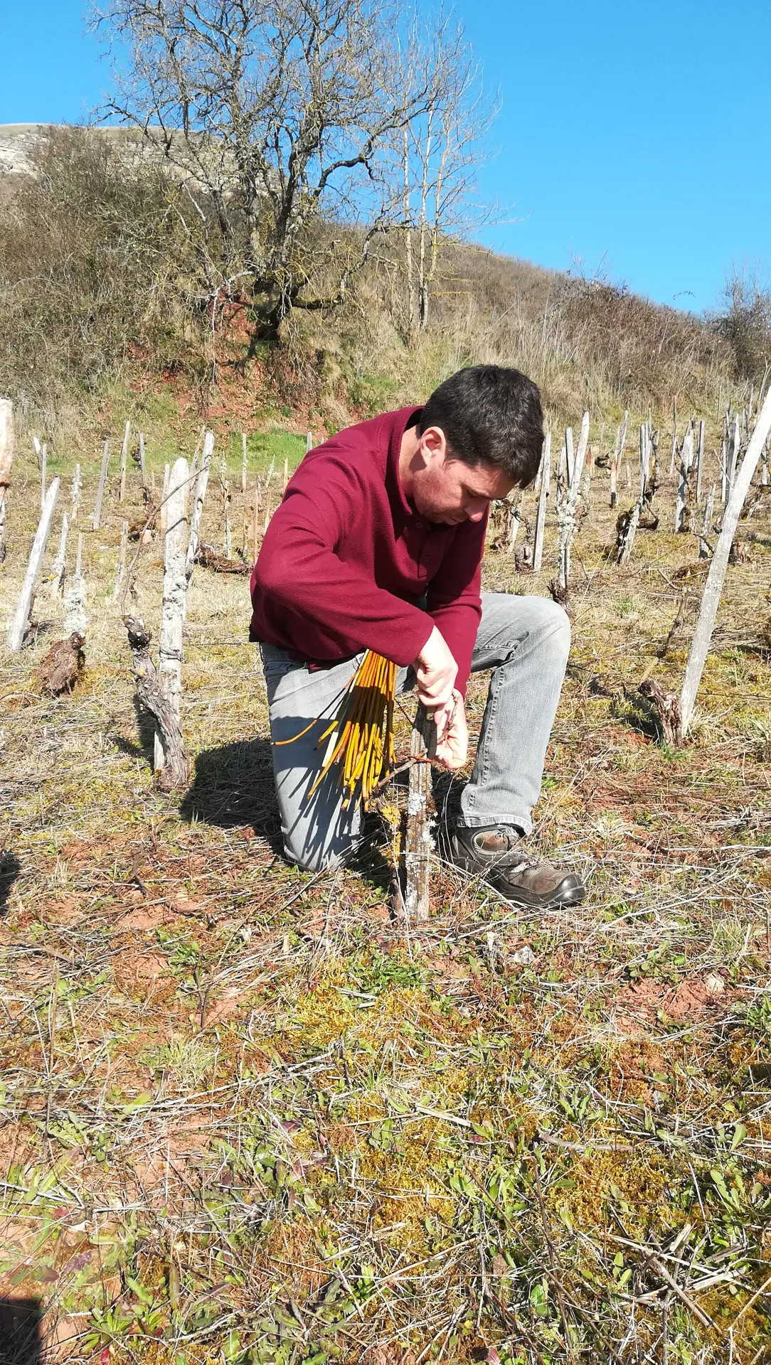 Visite découverte du domaine de l’Obre