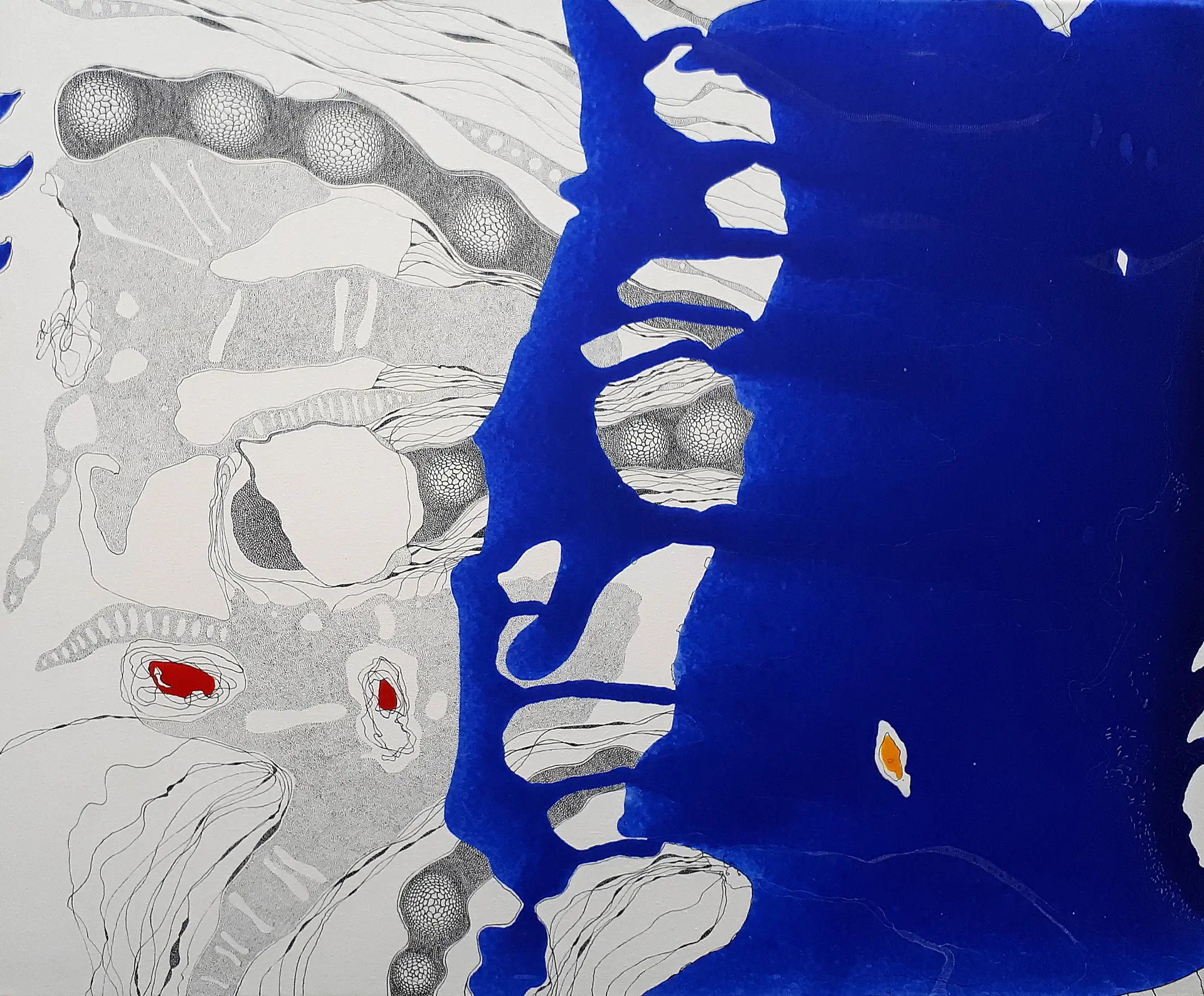 Exposition : "Suite en Bleu" de Didier Le Gleuher