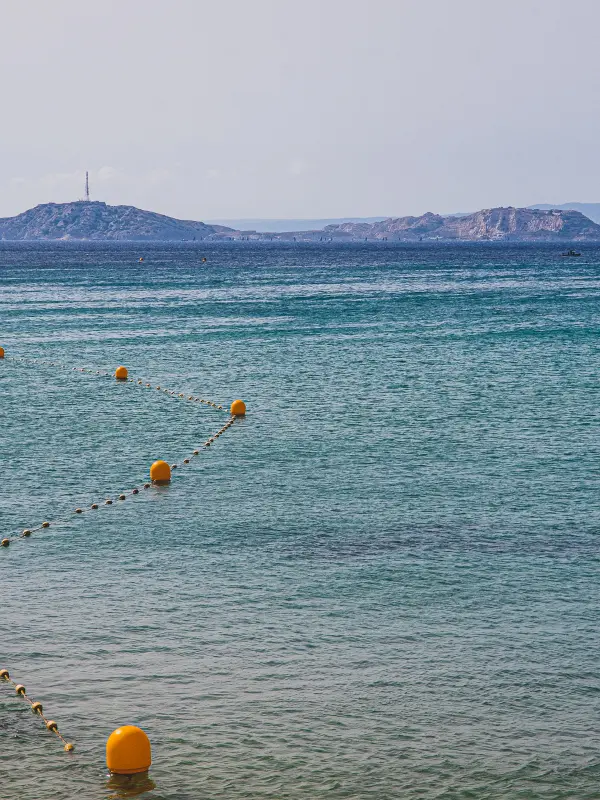 Stages d'apprentissage de la natation en mer