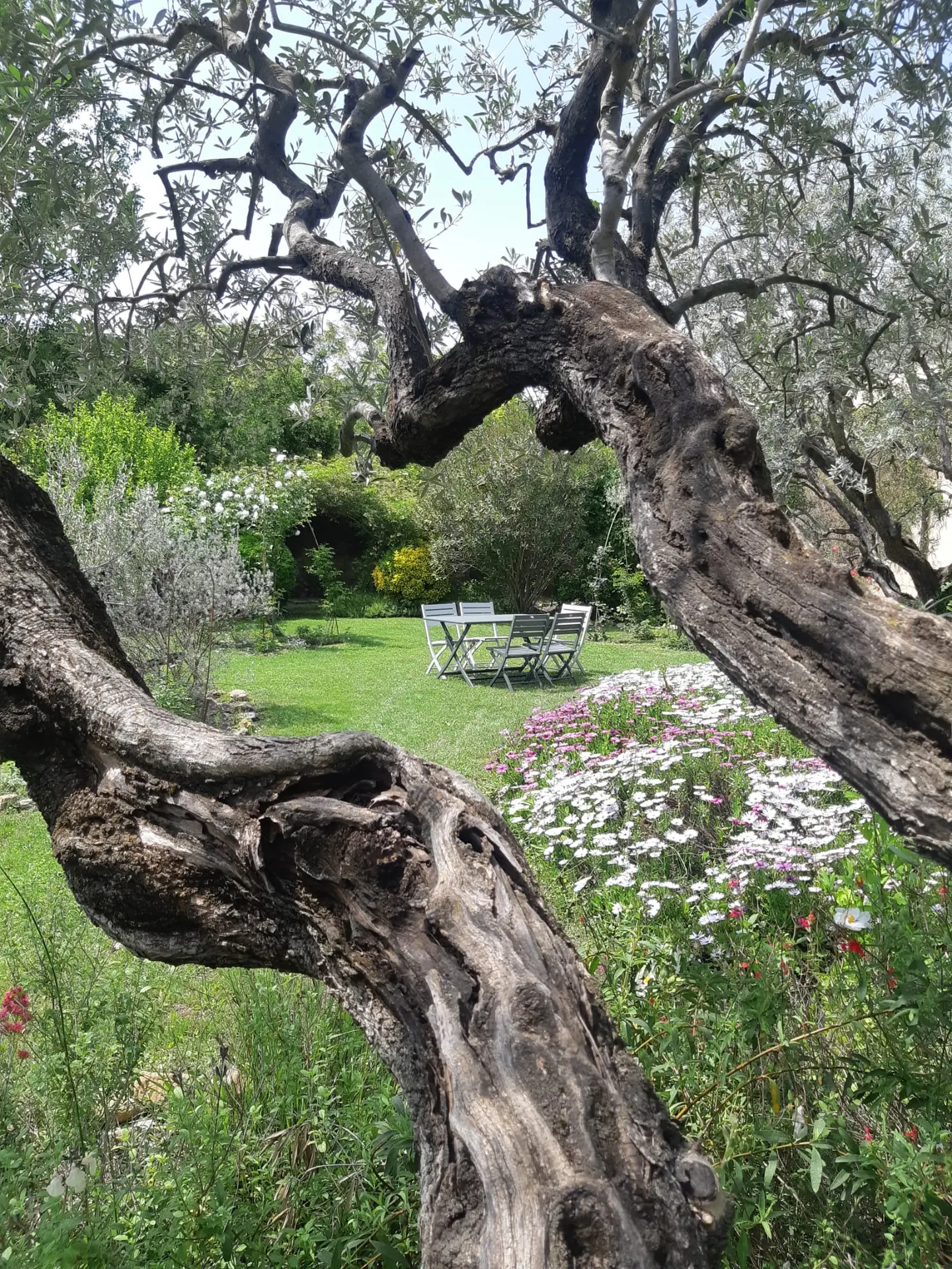 Un soir aux jardins
