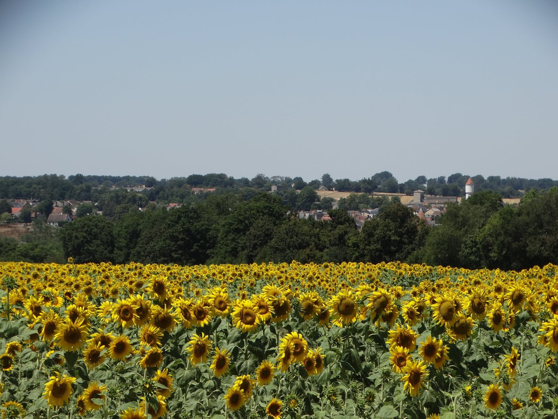 Randonnée gourmande à Culan
