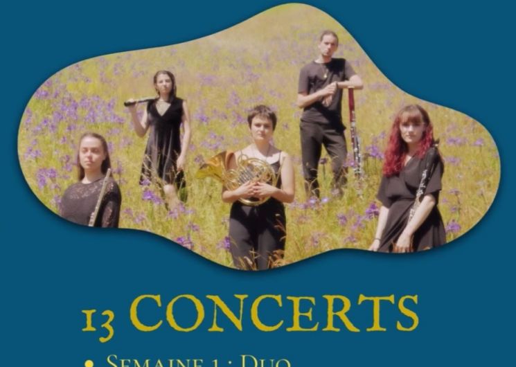 Festival de musique de chambre en Vallée des Gaves