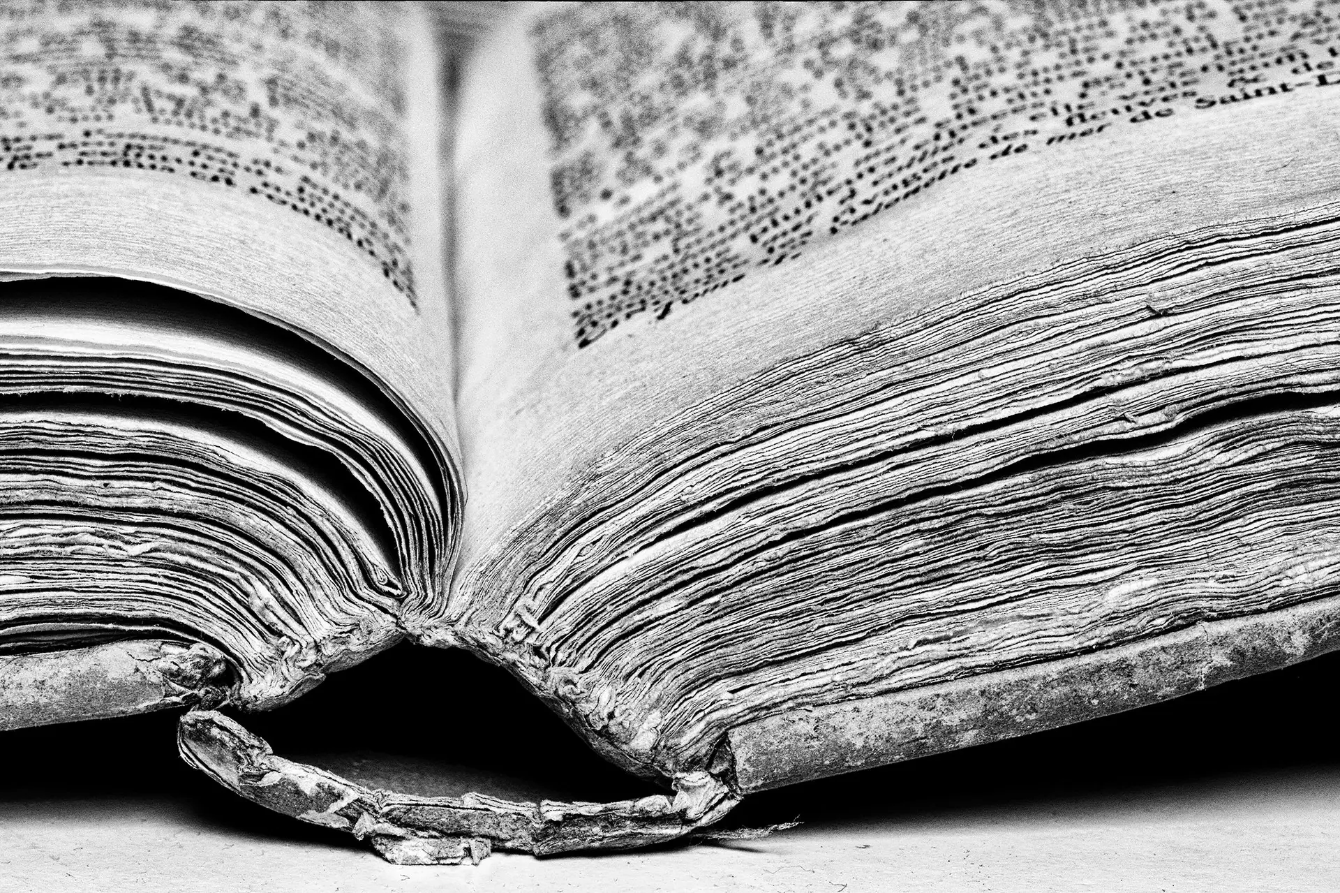 Capsule de printemps : "Le livre de votre vie"