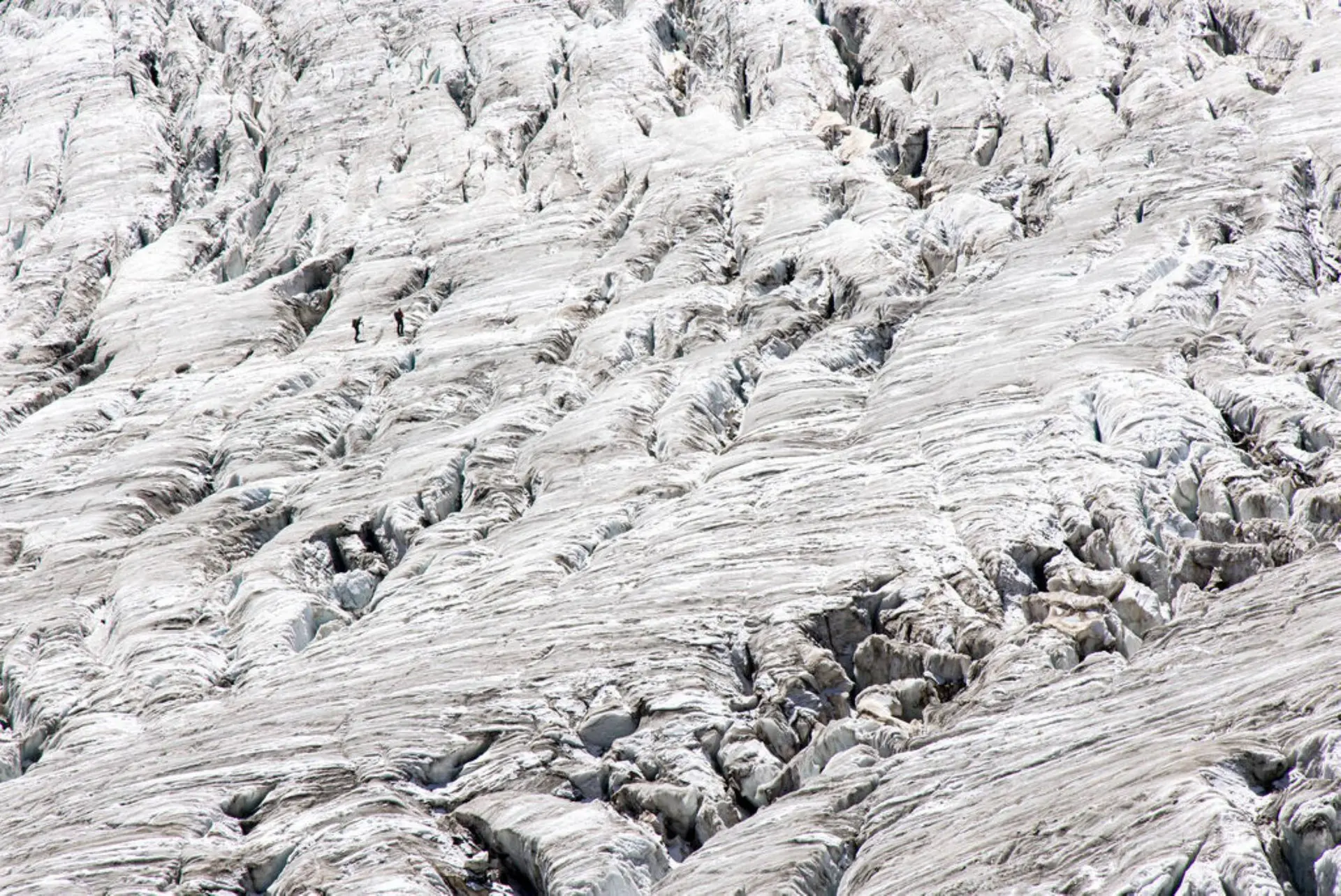 Projection : "L'écho des glaciers - transition dans les Andes"