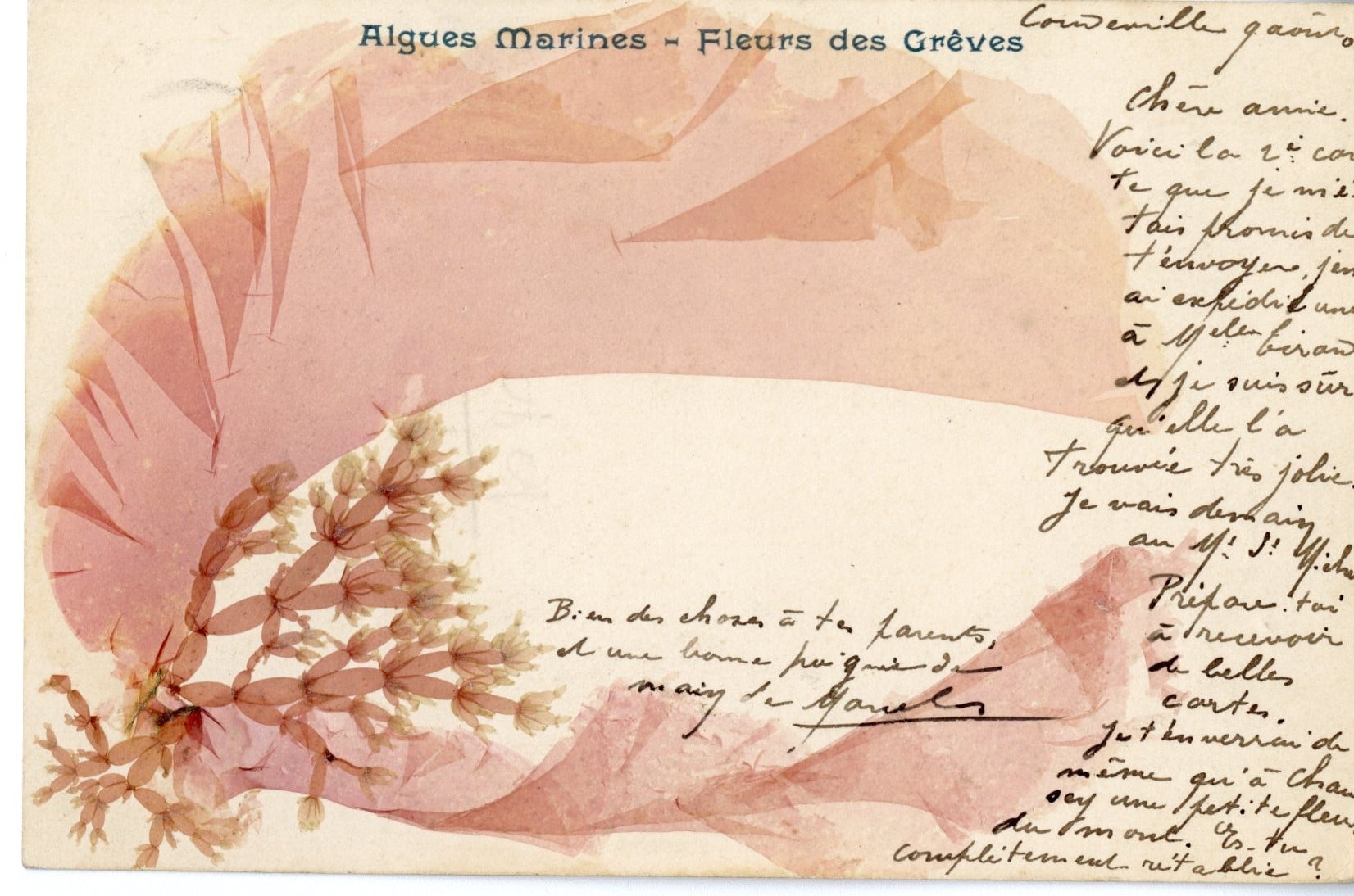 Atelierd'écriture autour de l'alguier de la naturaliste Maria Doublet avec Adeline Miermont Giustinati -Ile Tatihou