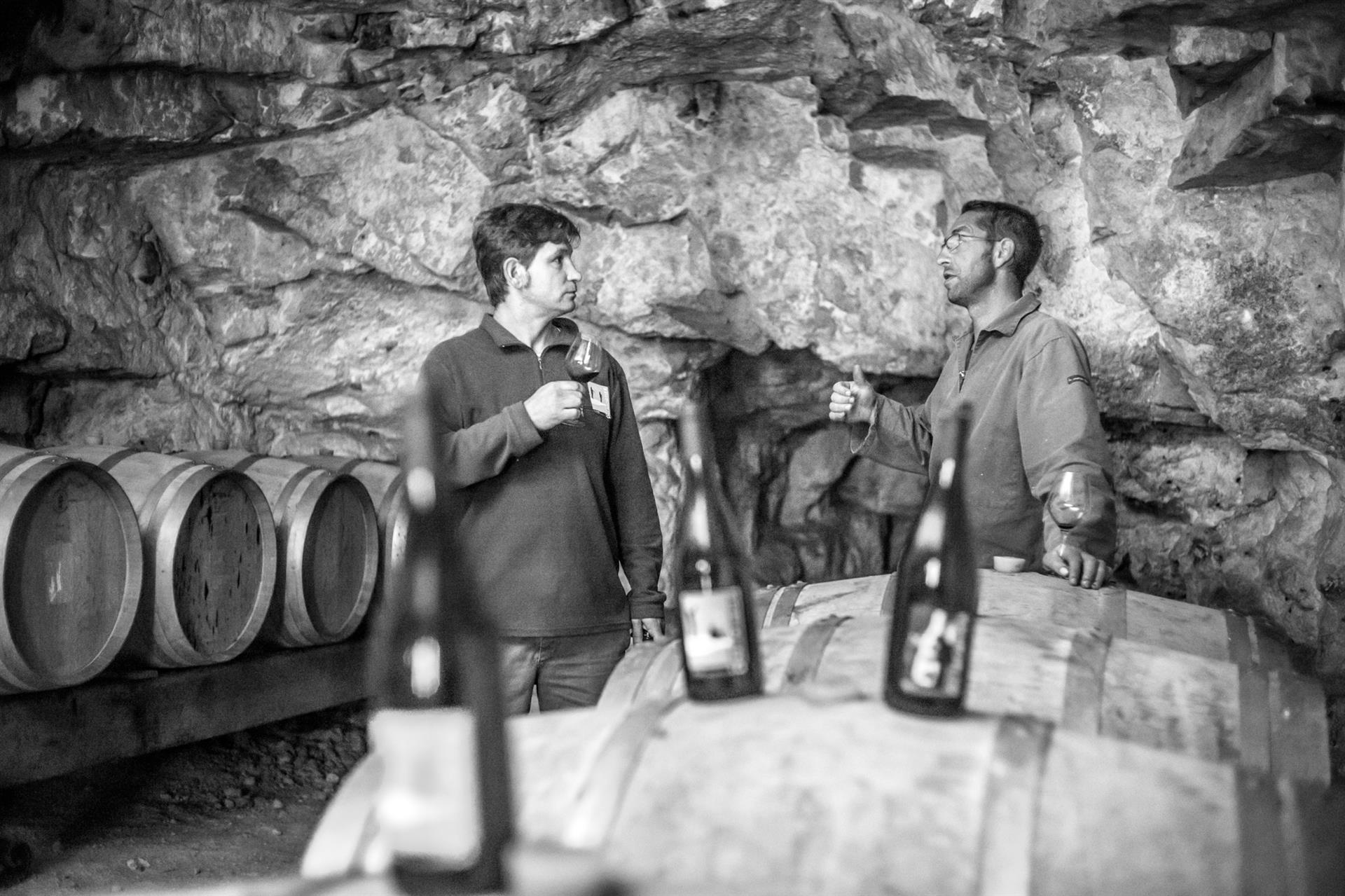 Portes ouvertes au domaine du Mortier