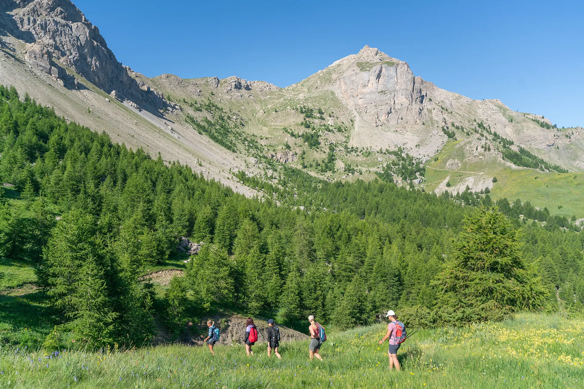 Randonnée thématique à la découverte de l'Ubaye