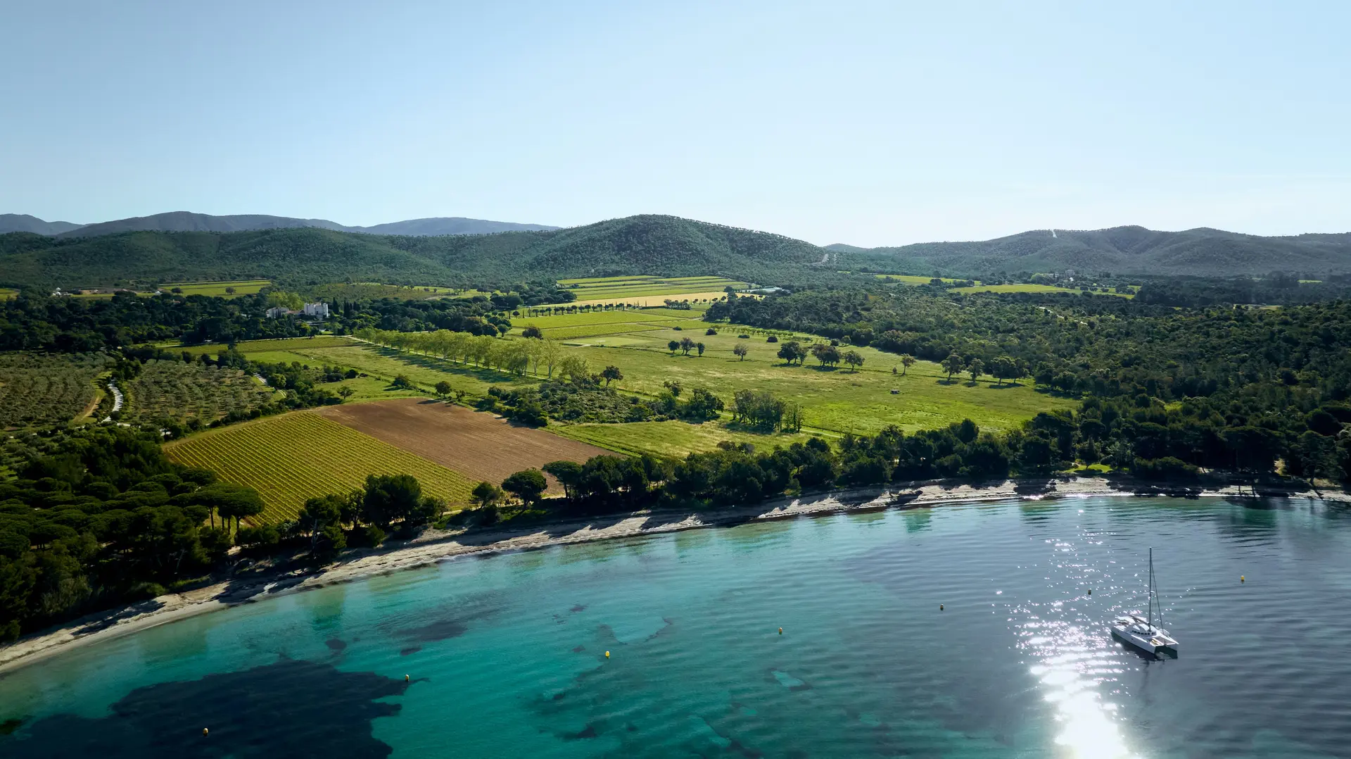 Visite exclusive du domaine Léoube avec atelier aquarelle au vin rouge sur les crètes