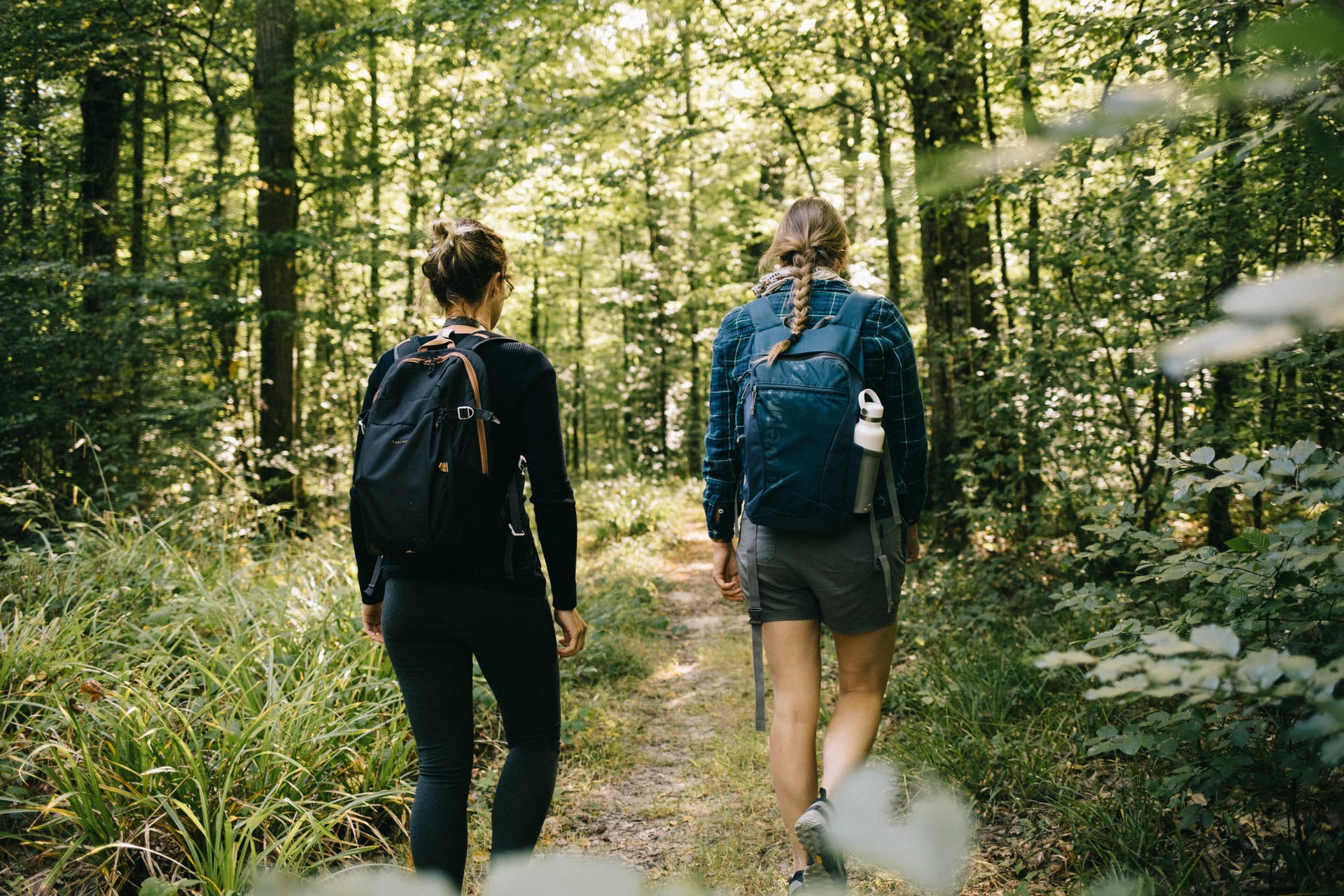 Randonnée printanière “le réveil de la nature”