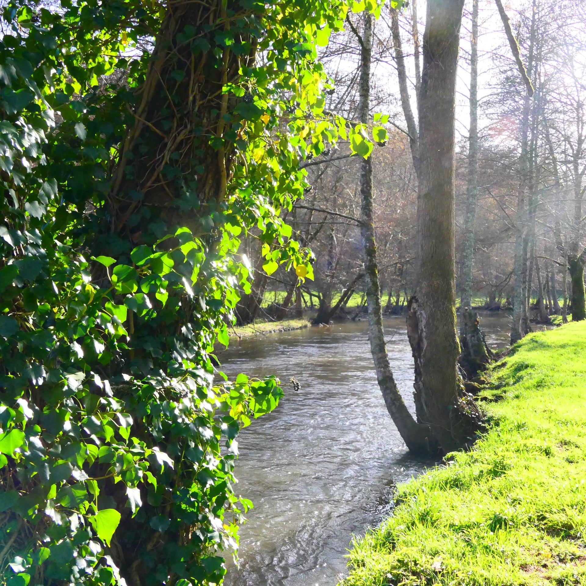 Histoire d'eau