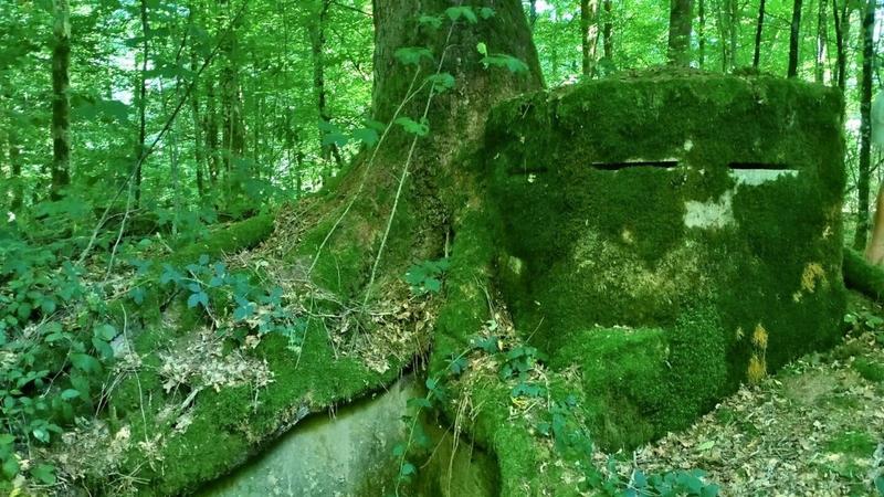 Sur les traces des voies ferrées stratégiques de 14-18