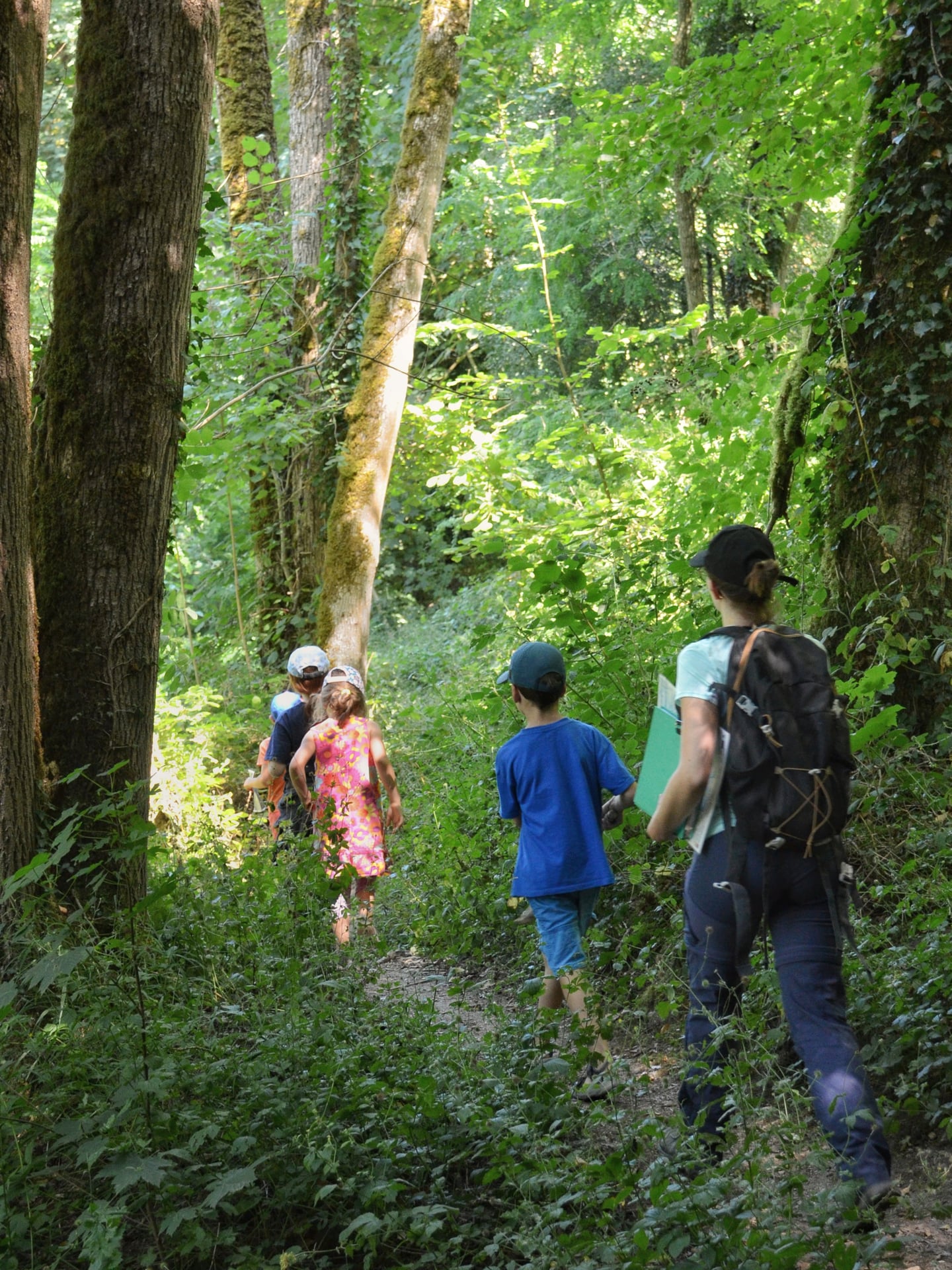Randonnée commentée : Le long de la Cure entre rivière, forêt et bocage