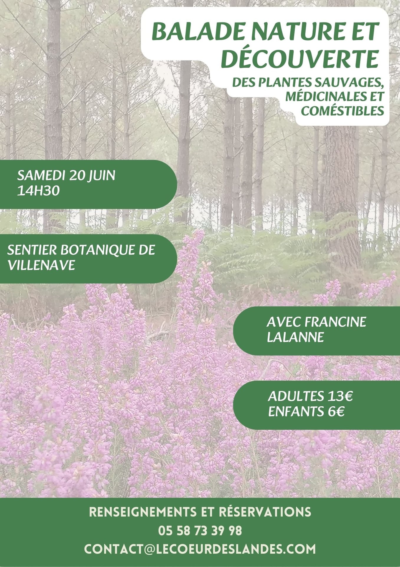 A la découverte des plantes sauvages, médicinales et comestibles avec Francine