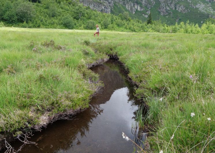 À la découverte d’une tourbière de montagne