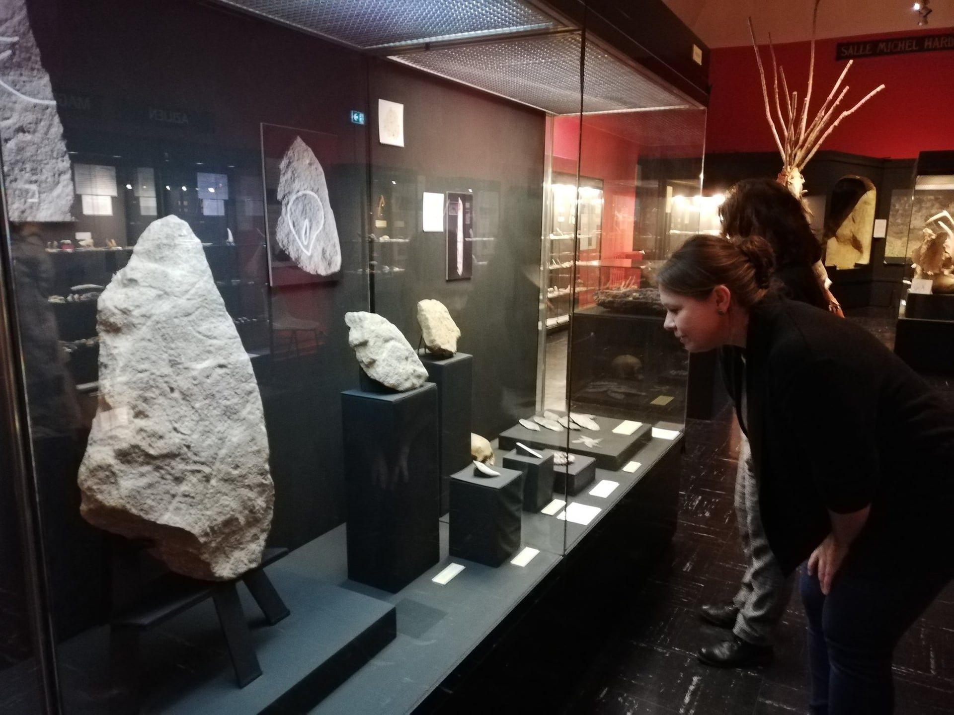 Visite commentée : La collection Préhistoire du musée