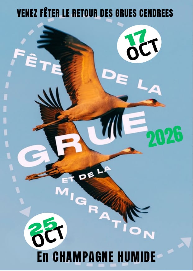 19ème Fête de la Grue et de la Migration