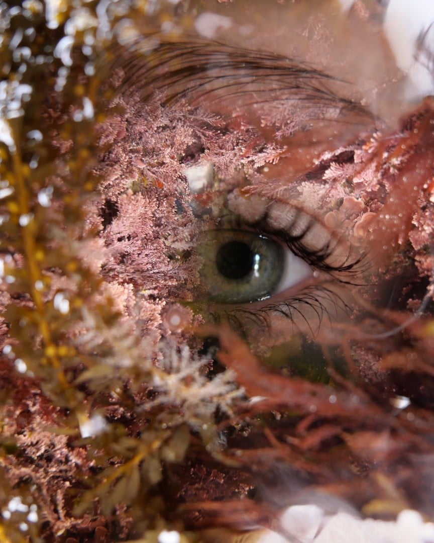 Exposition « Le goût de l’eau » de Stéphanie Pommeret