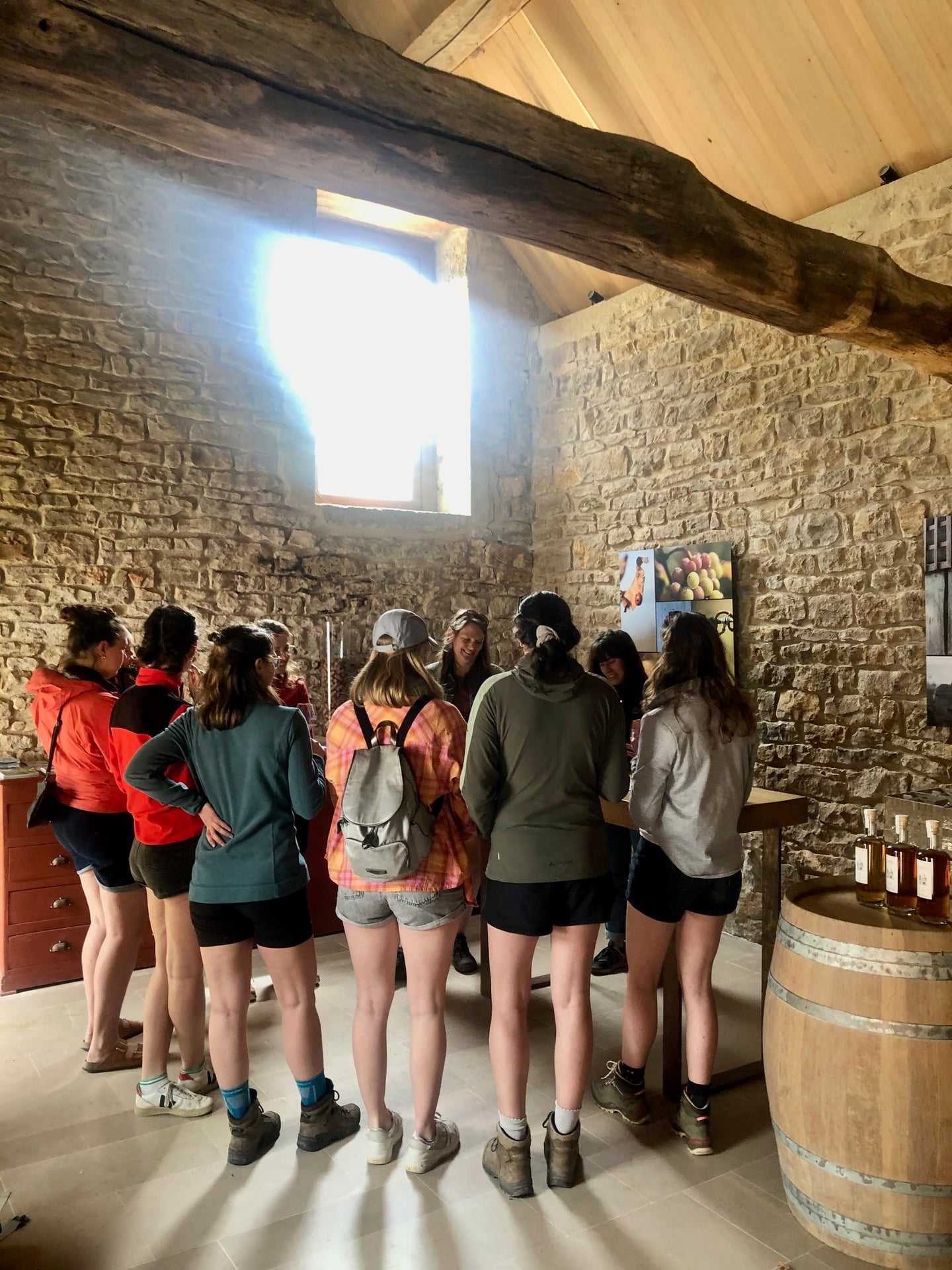 Visite guidée et dégustation de vins de Vézelay
