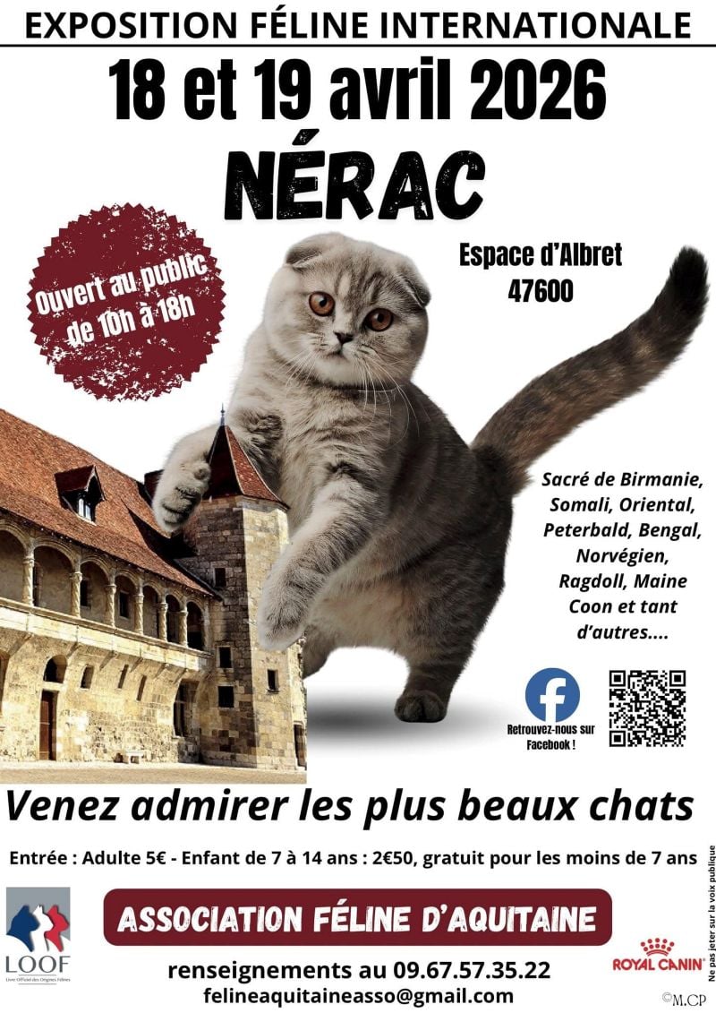 Exposition féline internationale