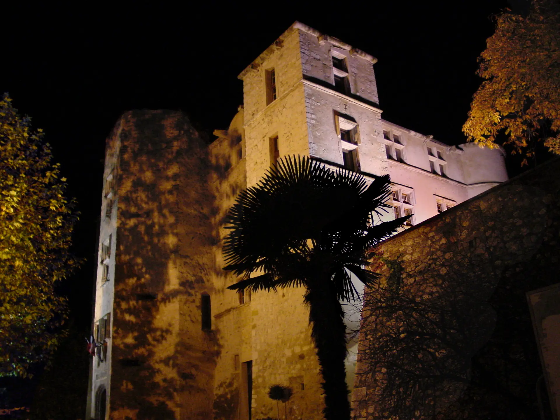 Fête votive de Château-Arnoux