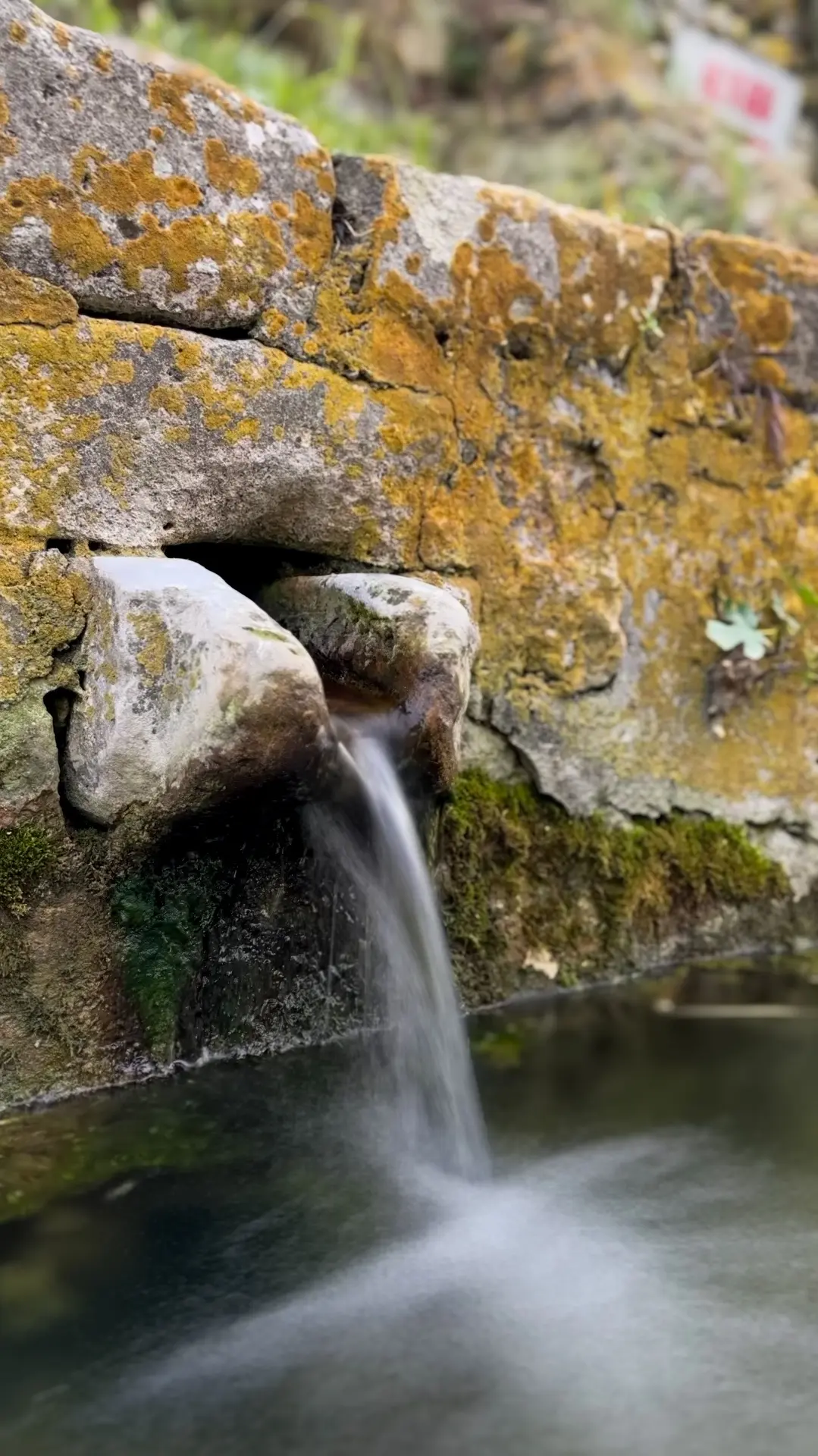 La fête de l'eau !