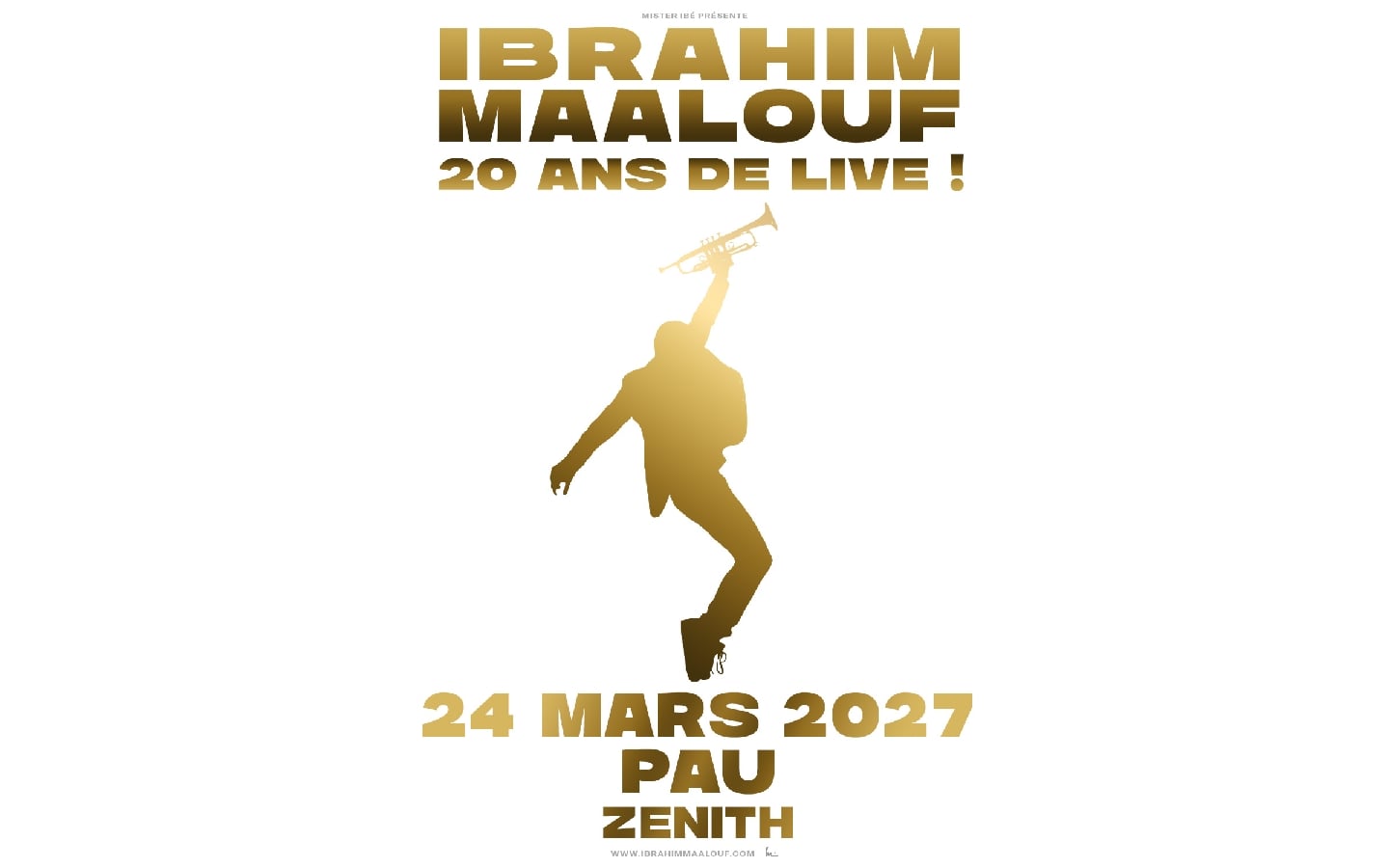 IBRAHIM MAALOUF - 20 ANS DE LIVE !