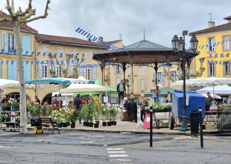 Marché végétal