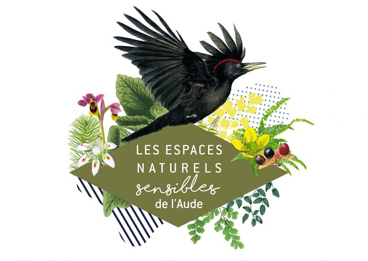 ENS – NUIT DE LA CHAUVE-SOURIS