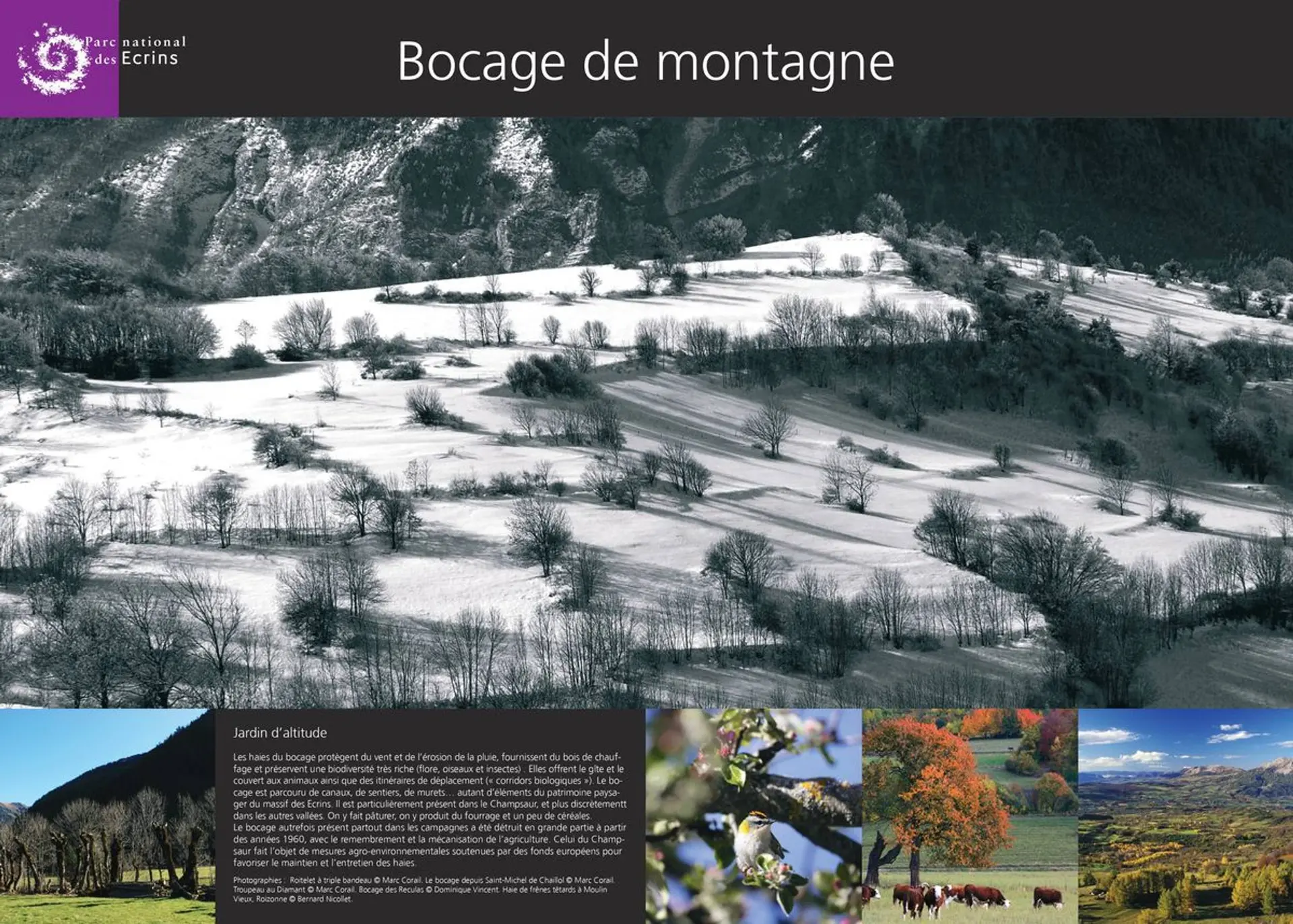 Exposition temporaire : "Empreintes paysagères"