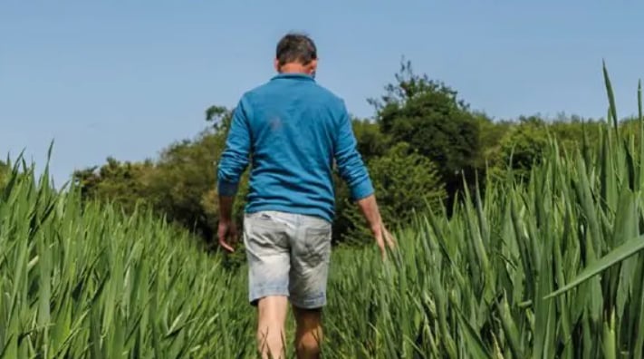 Exposition : Des racines et des voix