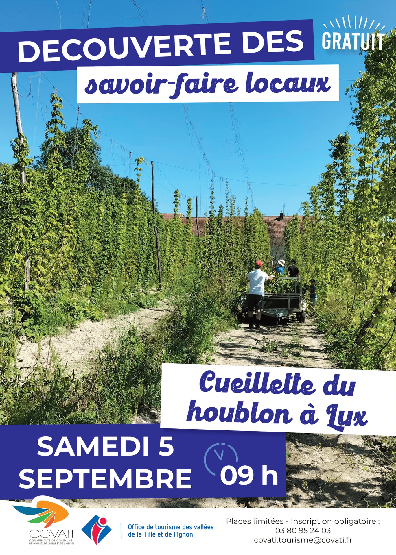 Découverte des savoir-faire locaux : Cueillette du houblon à Lux