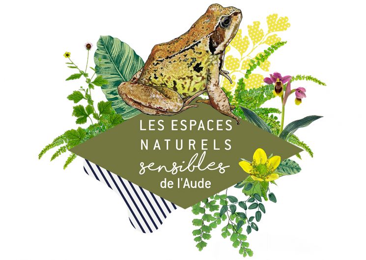 ENS – LES PIEDS DANS LE SABLE, LA TÊTE DANS LA LUNE