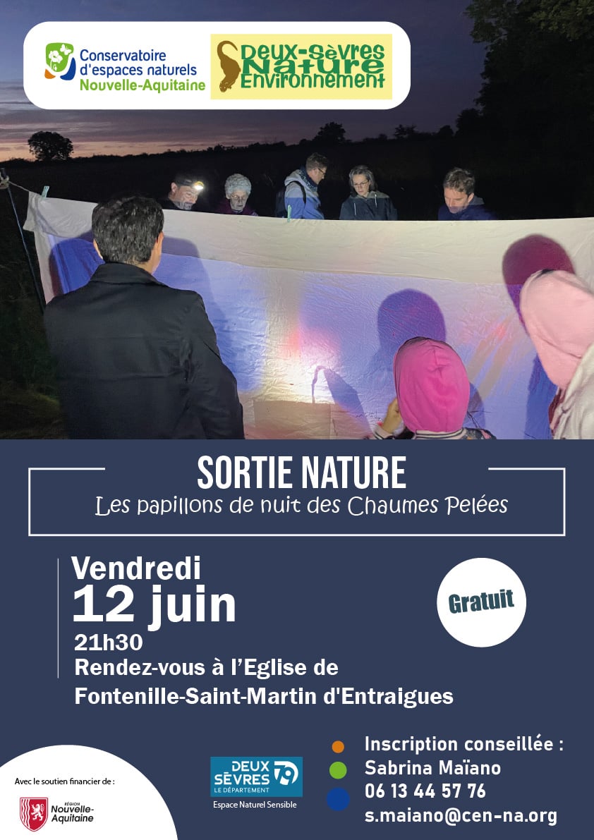 Sortie nature : formez-vous aux papillons de nuit des Chaumes Pelées