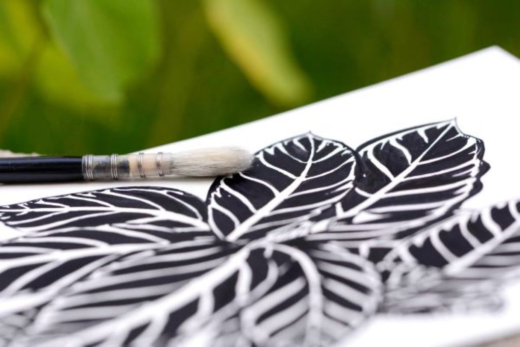 Dessin botanique et réalisation d’encre végétale à l'écomusée de Cuzals