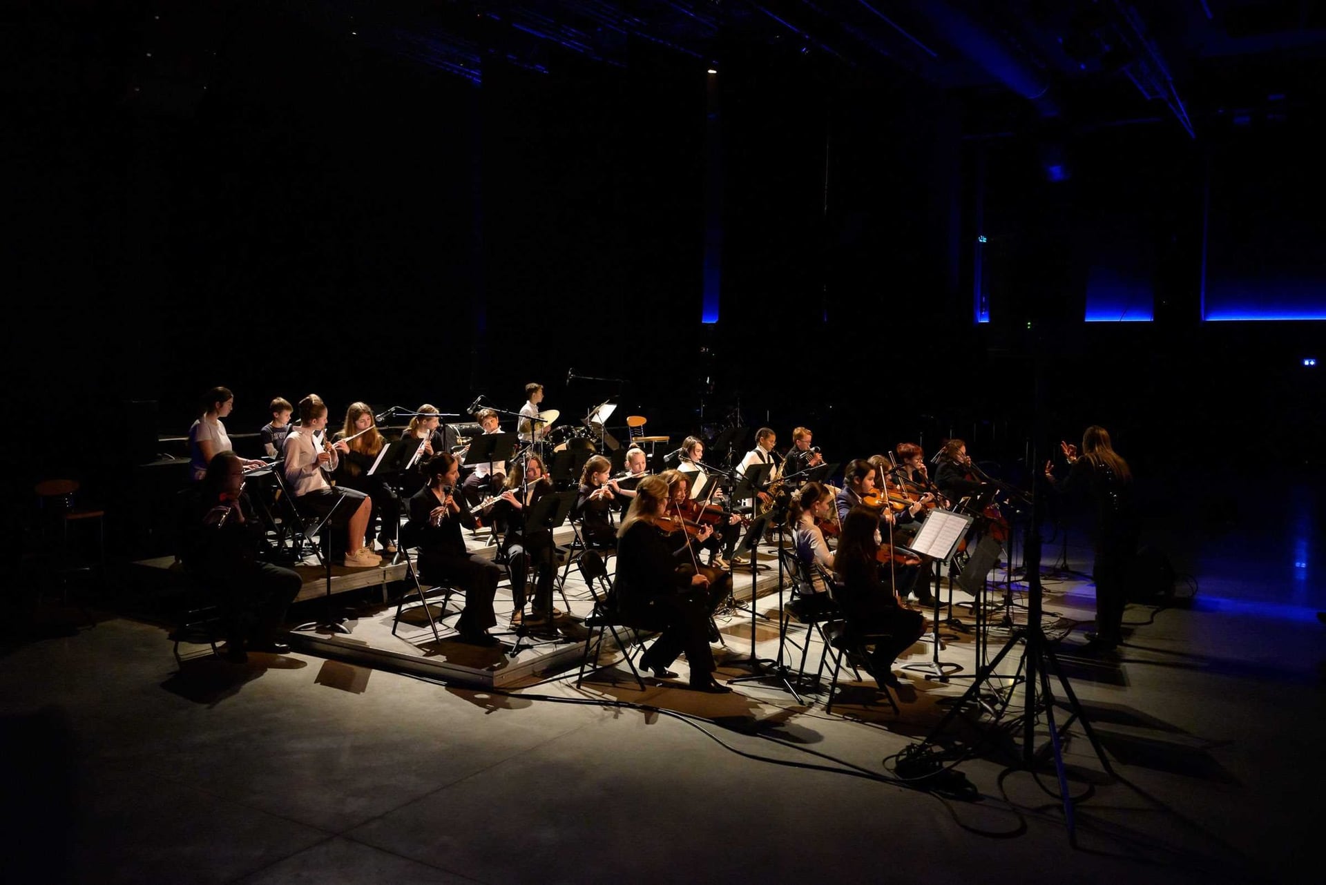 CONCERT: CARTE BLANCHE ORCHESTRES À CORDES