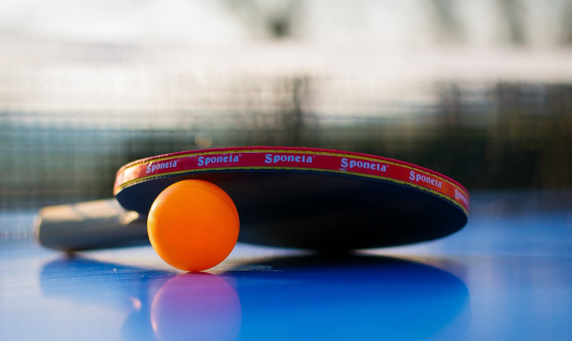Formule Sport : Tennis de table