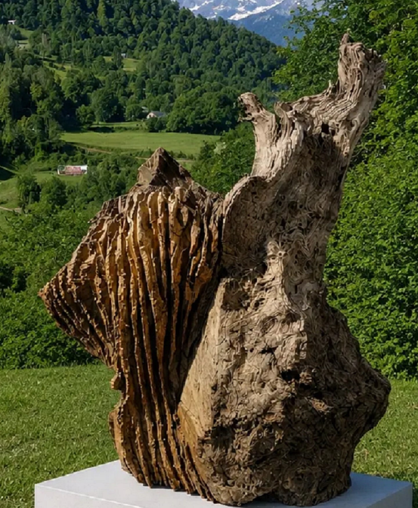 Exposition "ouvrages du vivant"