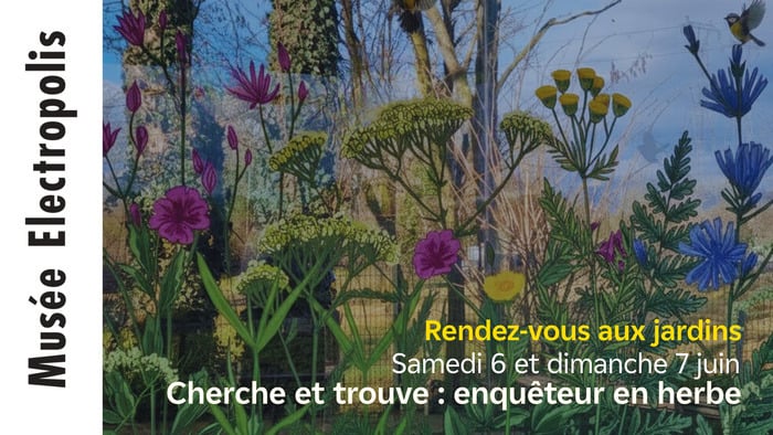 Cherche et trouve : enquêteur en herbe