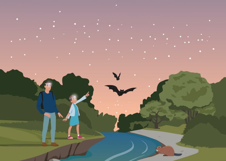 Les randonnées nocturnes à Cornillon