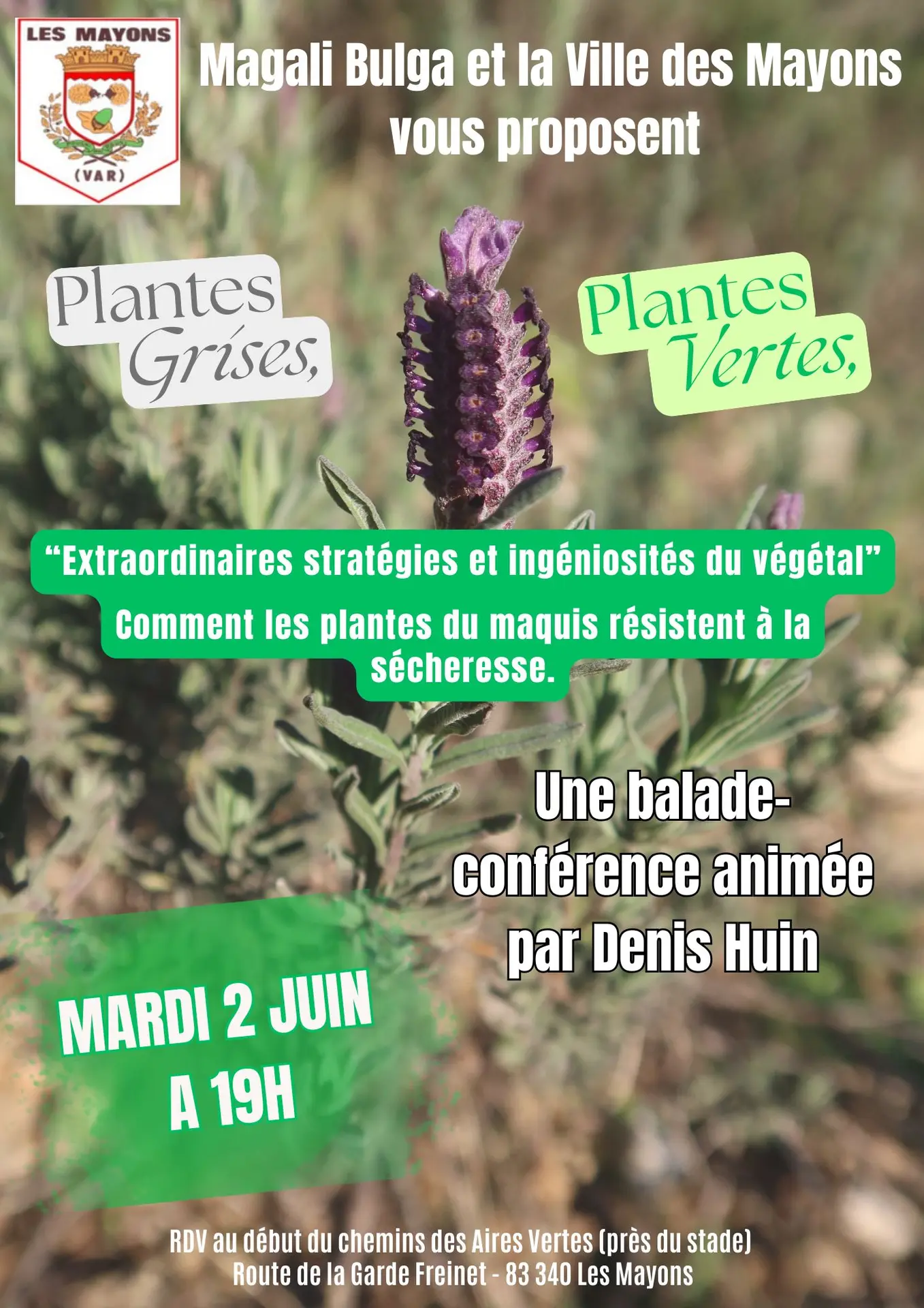 Balade nature commentée "Extraordinaires stratégies et ingéniosités du végétal"
