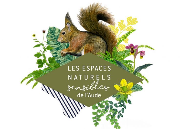 ENS – À LA RECHERCHE DE LA CRAPAUDINE