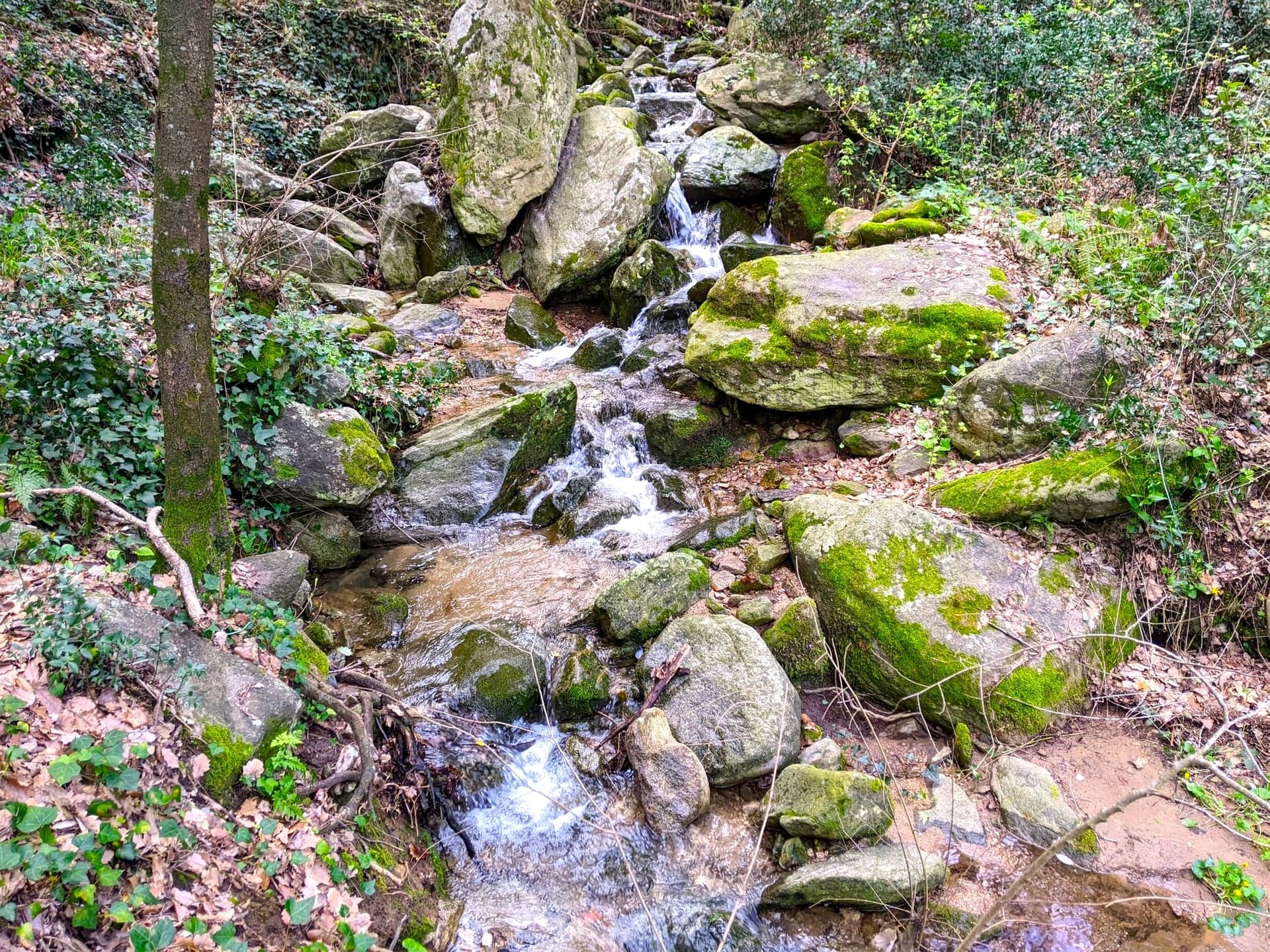BALADE NATURE ET PATRIMOINE "LA FORGE MURMURE"