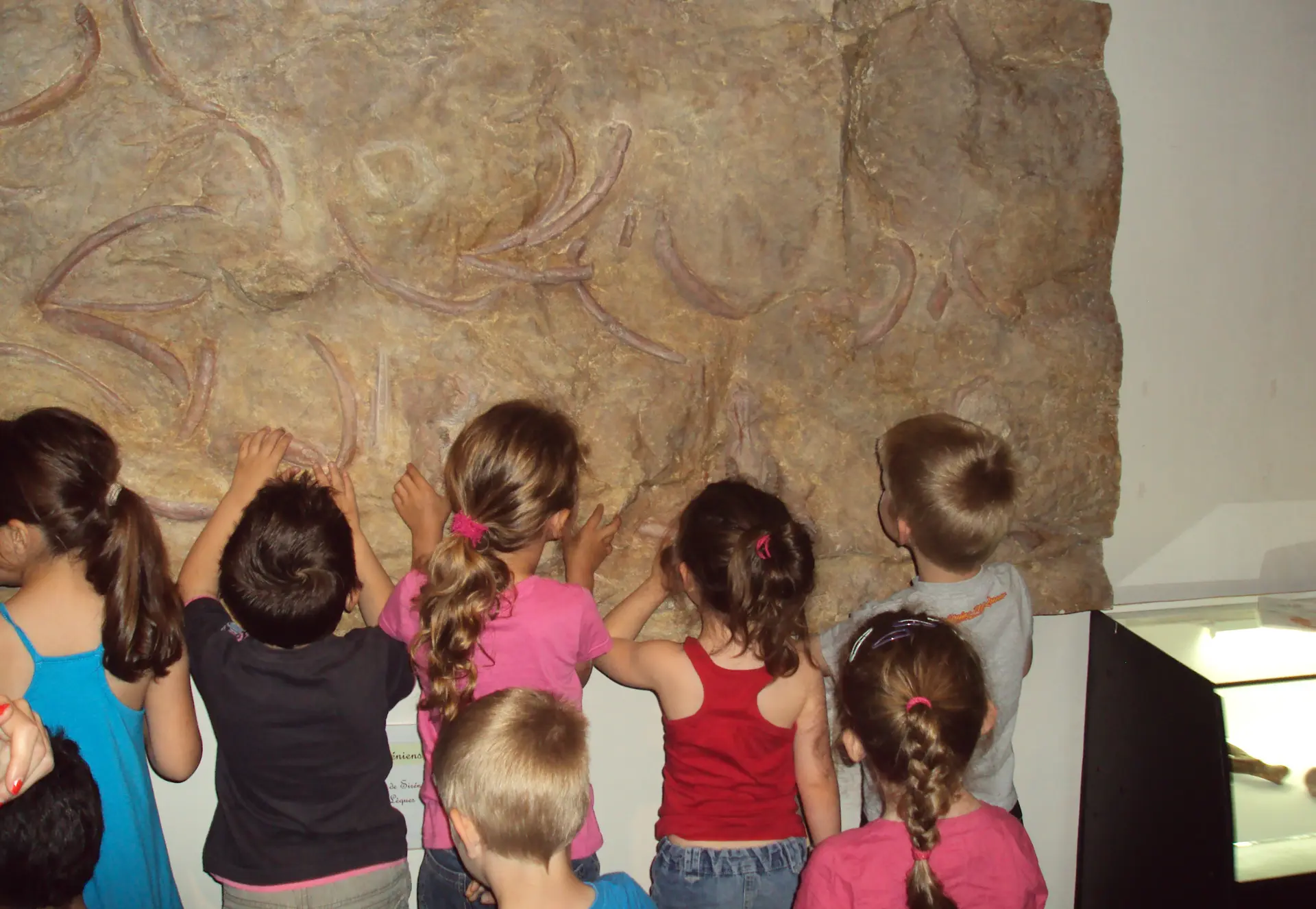 Atelier "petit géologue" - 06/08