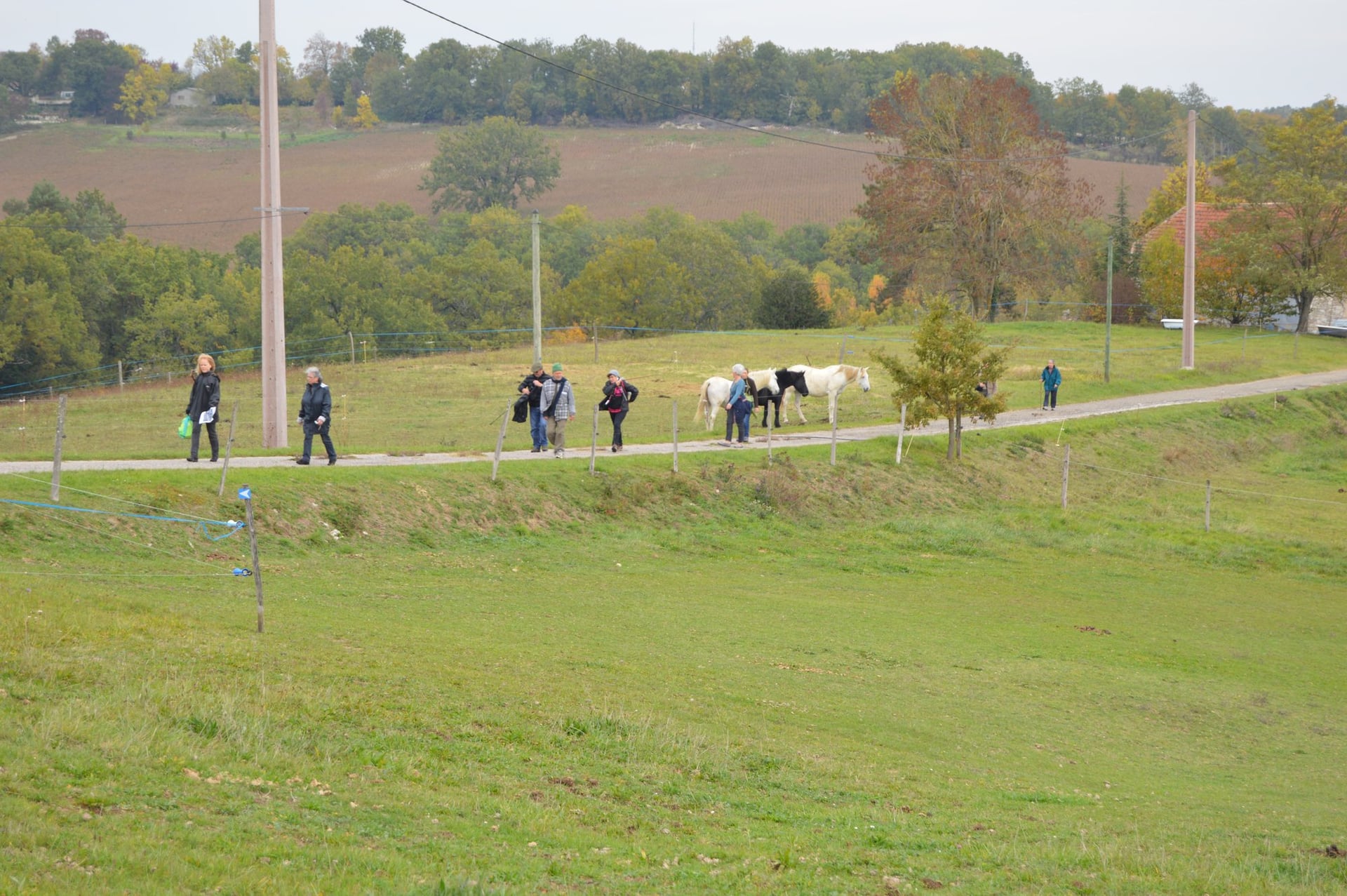 Sur les hauteurs de Saint-Robert