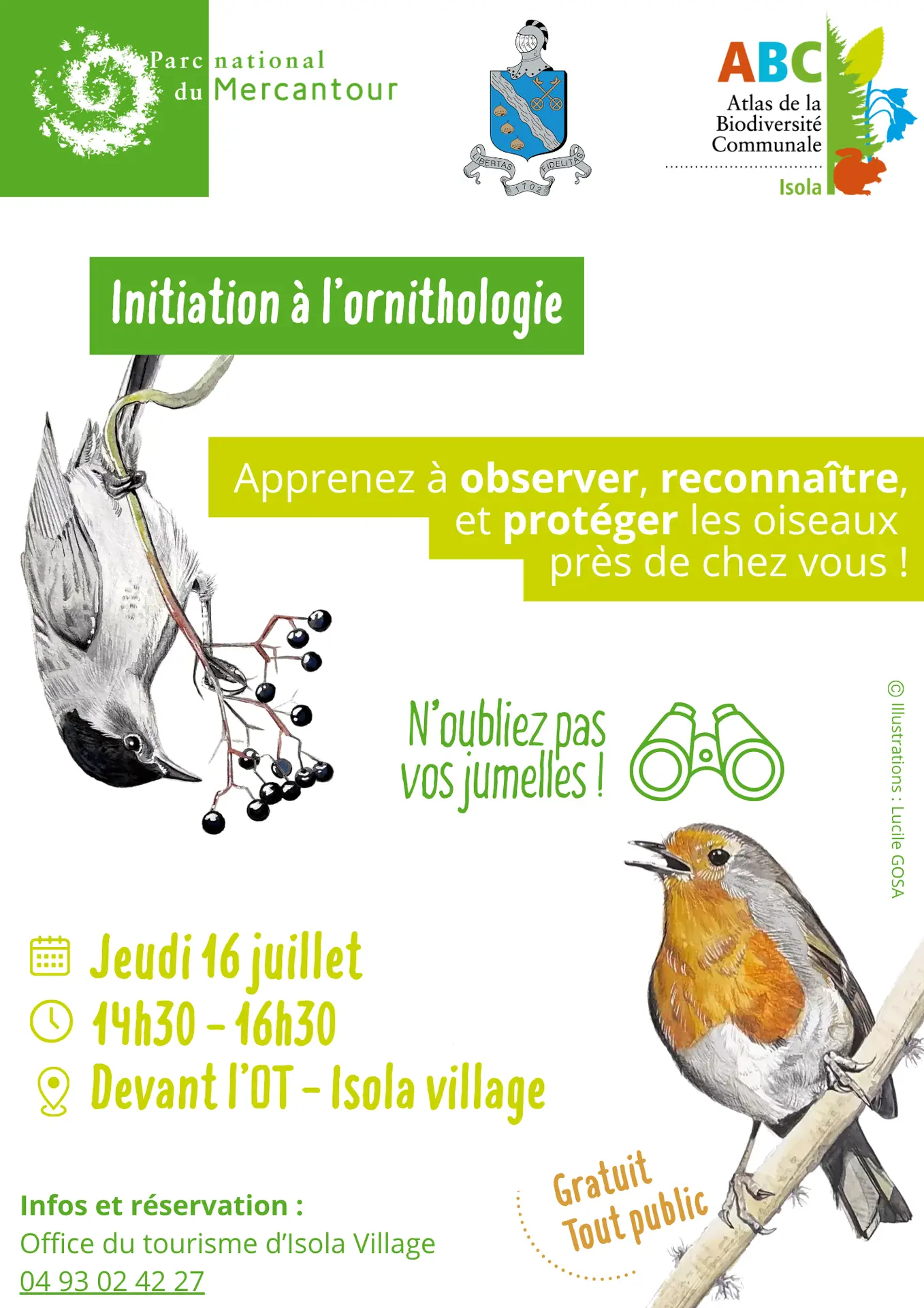 Atlas de la biodiversité d'Isola - Initiation à l'ornithologie