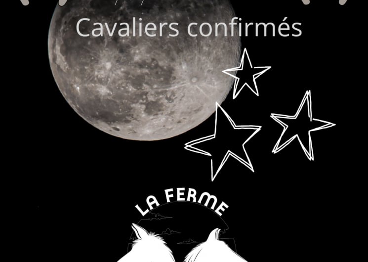 Balade à cheval au clair de Lune