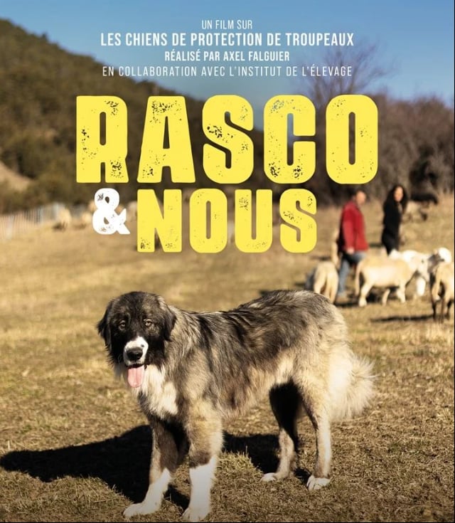 Projection - échanges : Rasco et nous