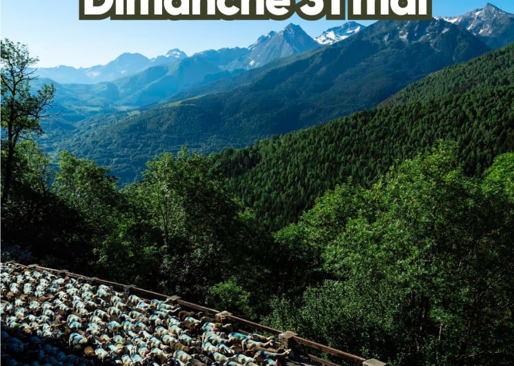 Transhumance de Soulan